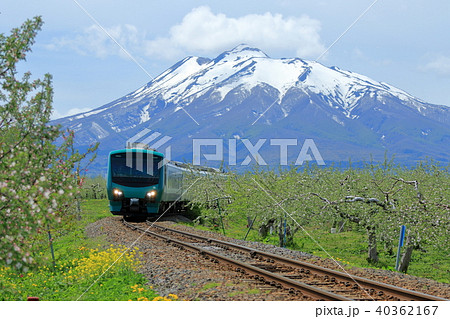 五能線・春のリンゴ畑を行くリゾ－ト列車 40362167