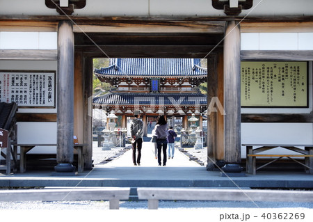 下北半島　春の恐山霊場 40362269
