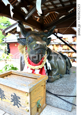 北野天満神社の御神牛（神戸・北野） 40362325