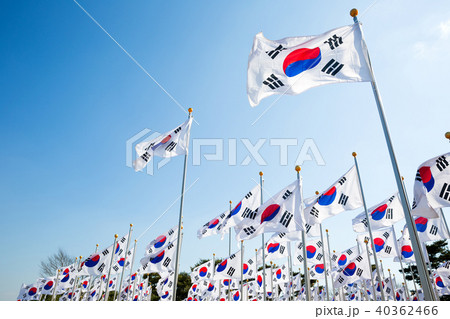 太極旗 旗 韓国 40362466