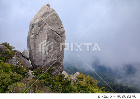 春の屋久島 世界自然遺産登録地域 太忠岳山頂 天柱石 の写真素材