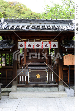 北野天満神社の本殿 神戸 北野 の写真素材