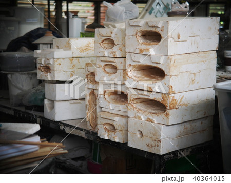compact size pflaster, mould for ceramics study compact size pflaster, mould for ceramics study 40364015