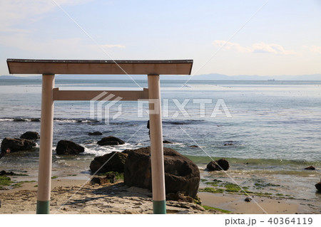 つぶて浦 40364119