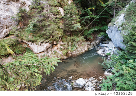 Small waterfall in the Bicaz Gorge, Romania Small waterfall in the Bicaz Gorge, Romania 40365529