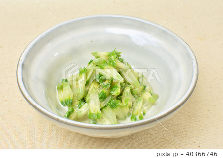 珍味 アマドコロの花の味噌マヨネーズ和え 珍味 アマドコロの花の味噌マヨネーズ和え 40366746