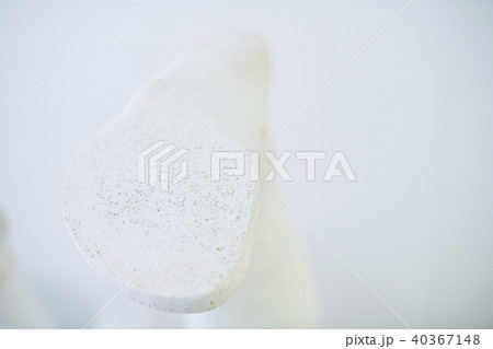 義肢装具　工房 40367148