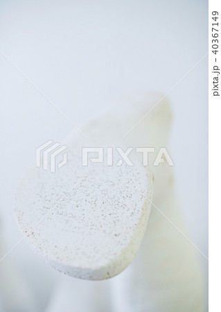 義肢装具　工房 40367149