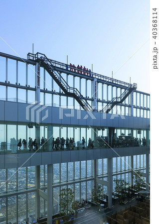 大阪・あべのハルカスからの眺め 40368114