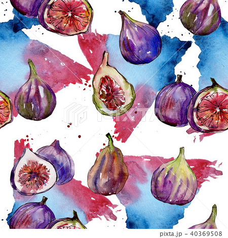 Exotic figs wild fruit in a watercolor style pattern. 40369508