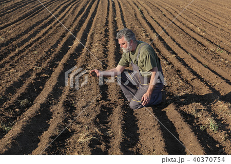 Farmer or agronomist inspecting cultivated field 40370754