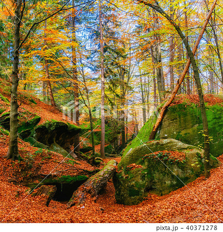 Walking in rocky terrain in the forest. Carpathian, Ukraine 40371278