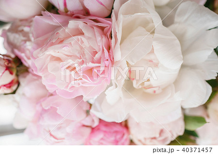 Lovely flowers in glass vase. Beautiful bouquet of white and pink peonies . Floral composition Lovely flowers in glass vase. Beautiful bouquet of white and pink peonies . Floral composition 40371457