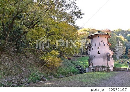 紅葉のピークを迎えたあけぼの子供の森公園 40372167
