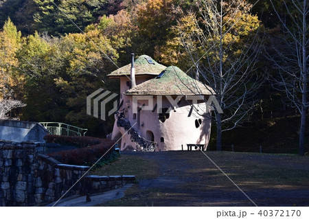 紅葉のピークを迎えたあけぼの子供の森公園 紅葉のピークを迎えたあけぼの子供の森公園 40372170