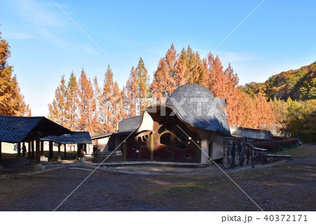 紅葉のピークを迎えたあけぼの子供の森公園 紅葉のピークを迎えたあけぼの子供の森公園 40372171