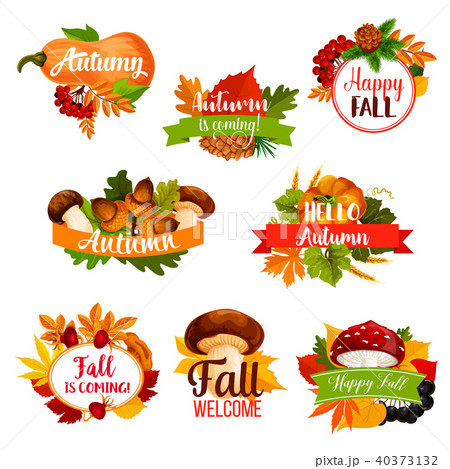 Autumn vector icon of fall leaf, pumpkin, acorn 40373132