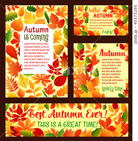 Autumn falling leaf foliage vector poster template 40373260