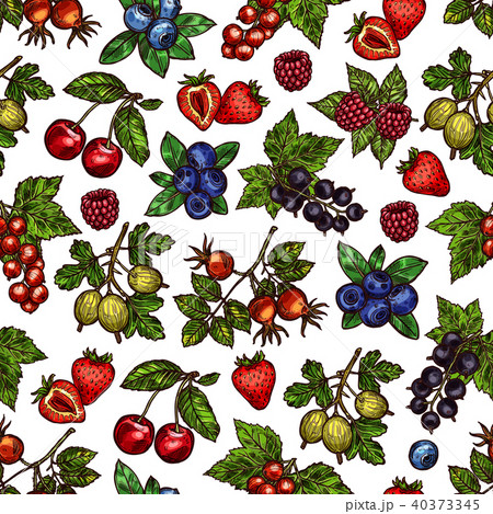 Vector set of colorful berries 40373345