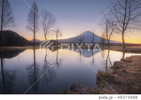 Mt.Fuji in early morning at Fumotoppara, Japan 40373998