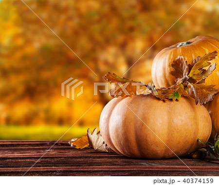 Autumn pumpkins on wood 40374159