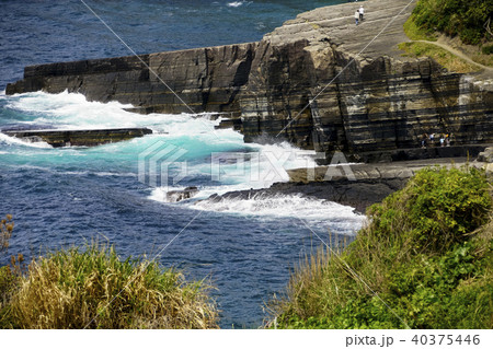 須佐ホルンフェルス 40375446