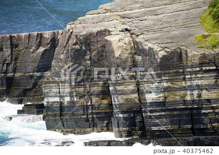須佐ホルンフェルス 須佐ホルンフェルス 40375462