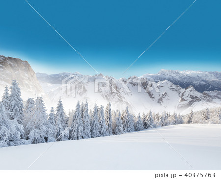 Winter snowy landscape Winter snowy landscape 40375763