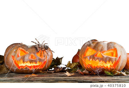 Halloween pumpkins isolated on white background 40375810