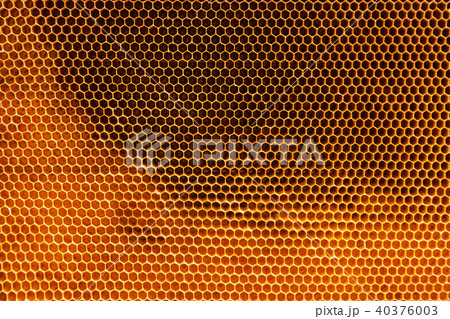 Honeycomb texture Honeycomb texture 40376003