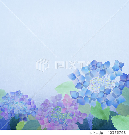 背景 紫陽花のイラスト素材