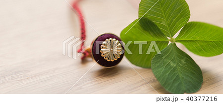 四葉のクローバー 四葉のクローバー 40377216