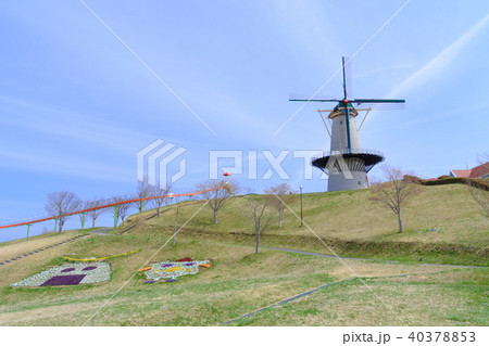 長沼フートピア公園の桜 Naganuma park&cherry blossoms 長沼フートピア公園の桜 Naganuma park&cherry blossoms 40378853