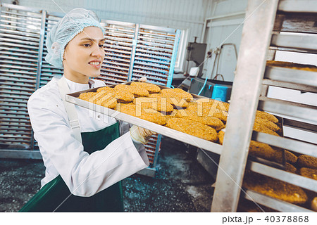fish seafood factory fish seafood factory 40378868