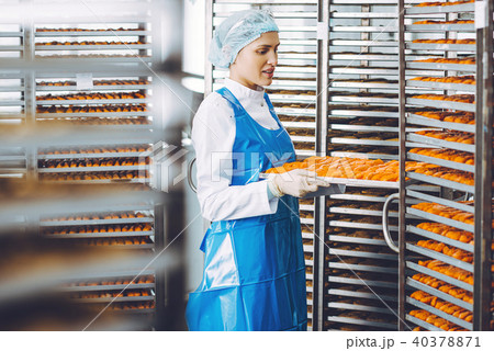 fish seafood factory fish seafood factory 40378871