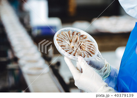 fish seafood factory fish seafood factory 40379139