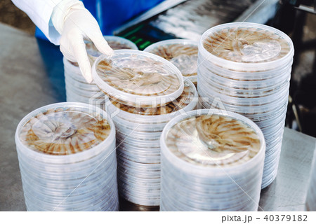 fish seafood factory 40379182