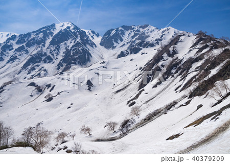 小日向から杓子岳 40379209