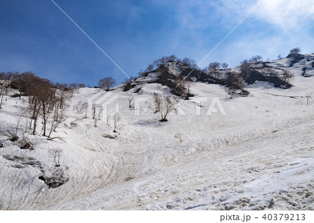 猿倉から小日向　登山道 40379213