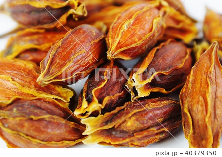 漢方処方用薬・クチナシの乾燥果実山梔子（サンシシ）アップべた・白バック横位置 40379350