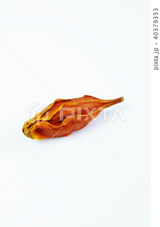 漢方処方用薬・クチナシの乾燥果実山梔子(サンシシ)1個・白バック縦位置 漢方処方用薬・クチナシの乾燥果実山梔子(サンシシ)1個・白バック縦位置 40379353