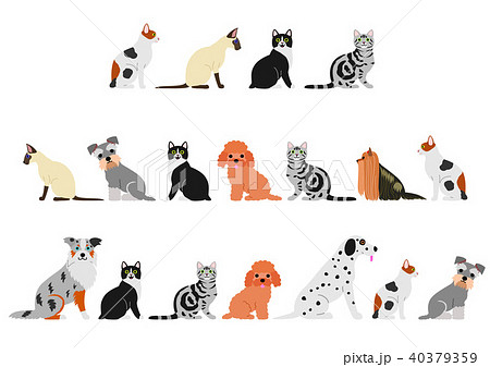 犬と猫のボーダーセット 40379359