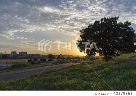 河川敷の夕暮れ　東京多摩川河川敷 40379363