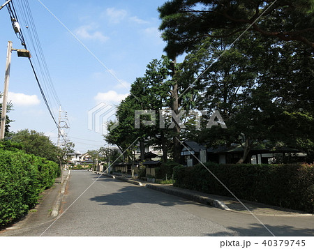 大宮盆栽村（盆栽四季の家付近） 40379745