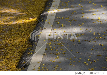 Yellow flower drop 40379987