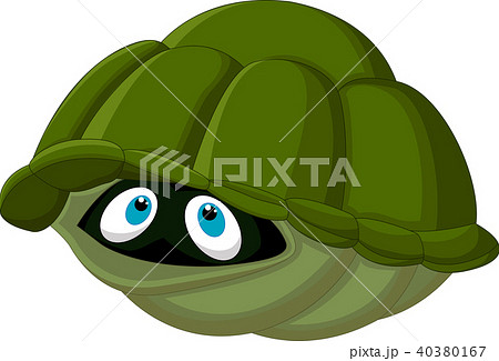 Cartoon Turtle Hides In Its Shellのイラスト素材