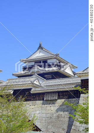 松山城 40380230