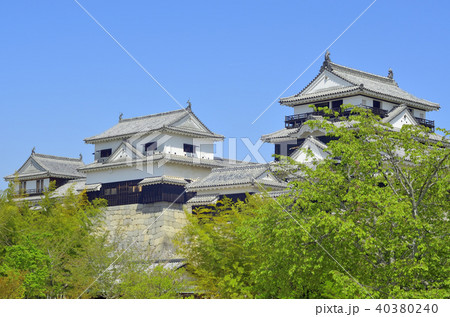 松山城 40380240