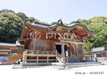新緑の春日神社 福岡県春日市春日 新緑の春日神社 福岡県春日市春日 40380387