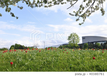 イギリスのニュータウン：ミルトン・キーンズの公園、キャンベル・パーク 40380761